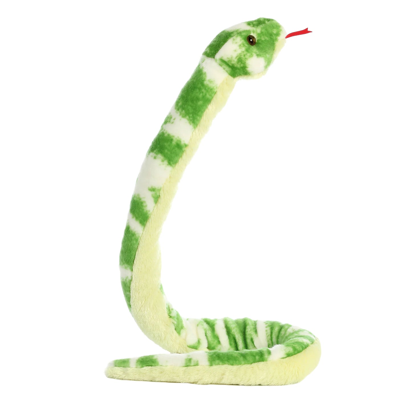 Emerald Tree Boa