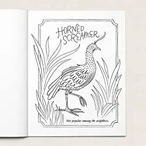 30 Dirty Birdies: Adult Colouring Book