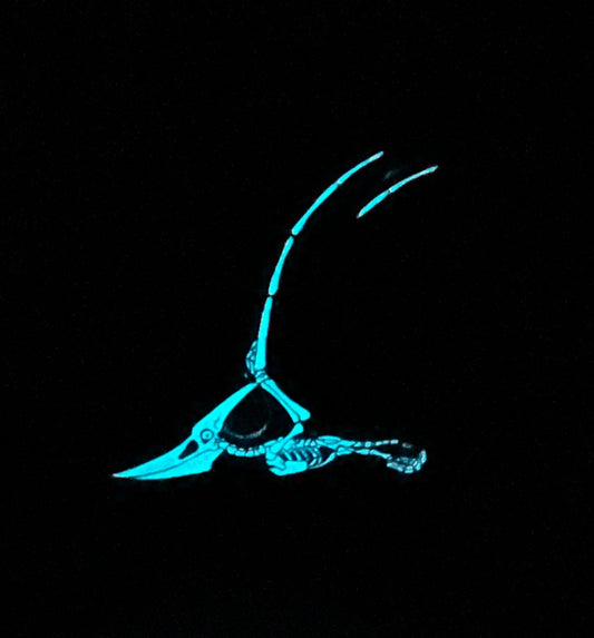 Pterodactyl Soft Enamel Pin