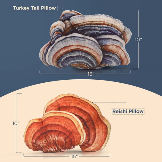 Turkey Tail Mushroom Pillow