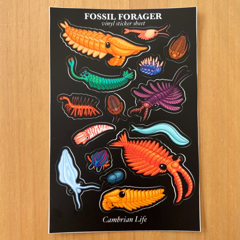 Cambrian Life Sticker Sheet