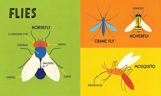 My First 100 Bug Words