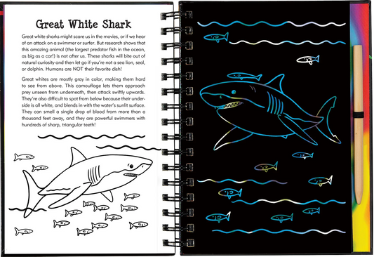 Scratch & Sketch Sharks