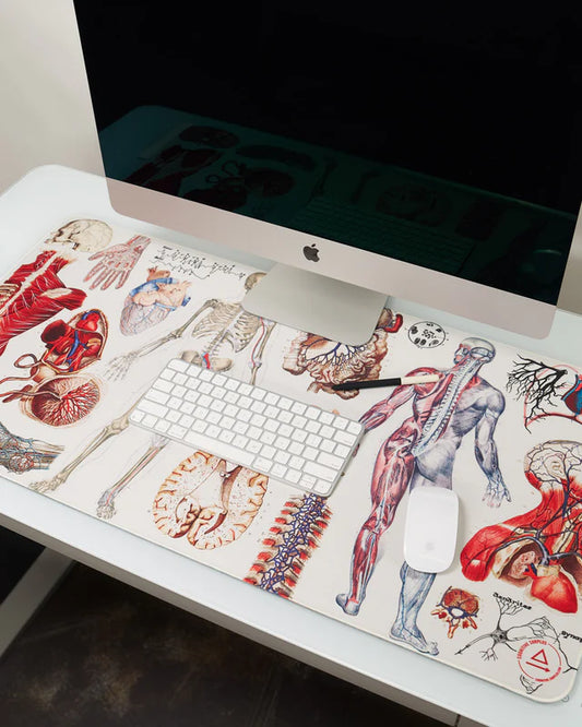 Anatomy Large Desk Pad