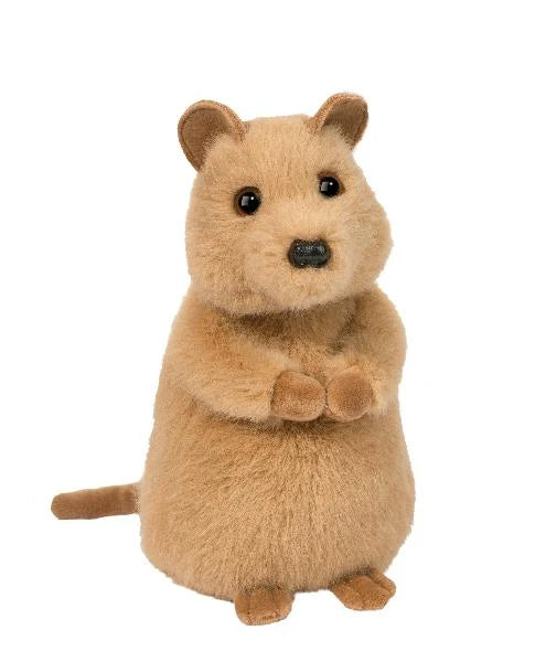 Quincie Quokka