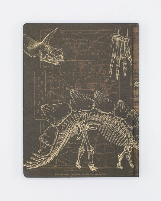 Paleontology Hardcover DOTGRID