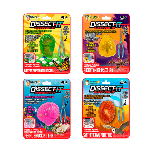 Dissect It Discover Asstorted