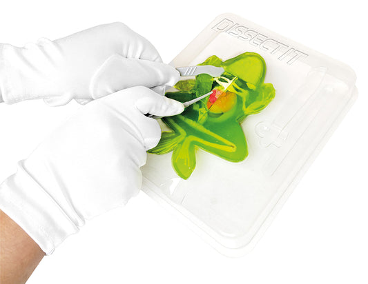Dissect It Frog