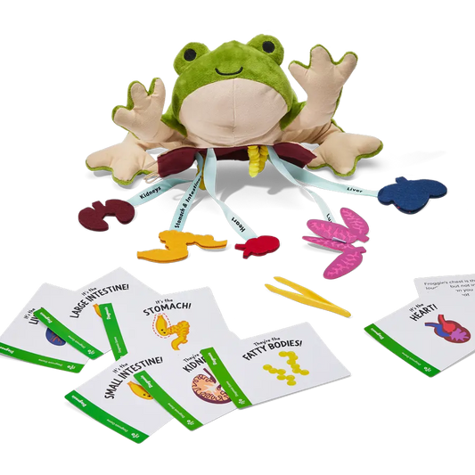 Froggie Dissection Lab