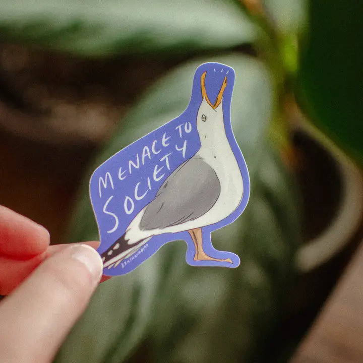Funny Seagull Sticker
