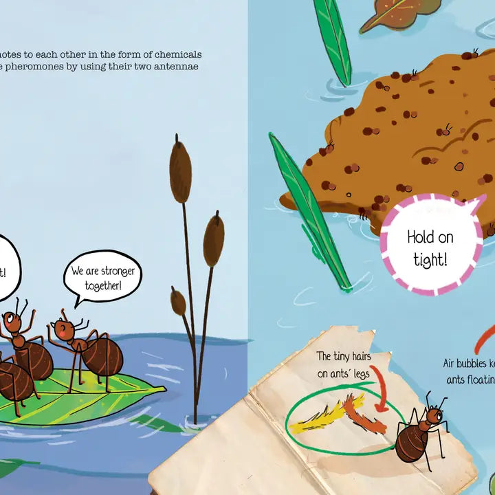 How Do Ants Survive a Flood?