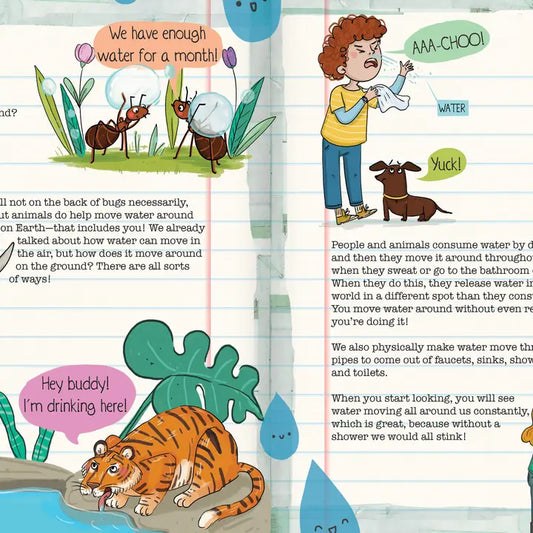 How Does Water Move Around?