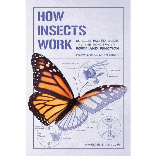 How Insects Work: An Illustrated Guide