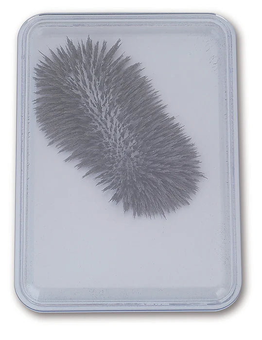 Iron Filings