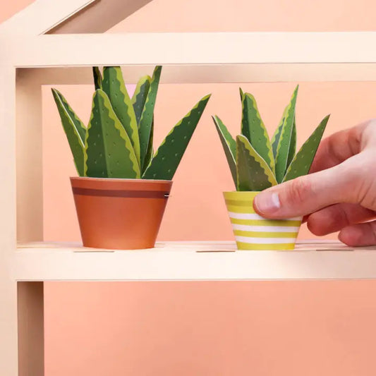Make Your Own Paper Aloe Plant