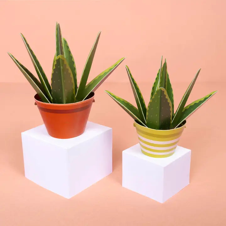 Make Your Own Paper Aloe Plant