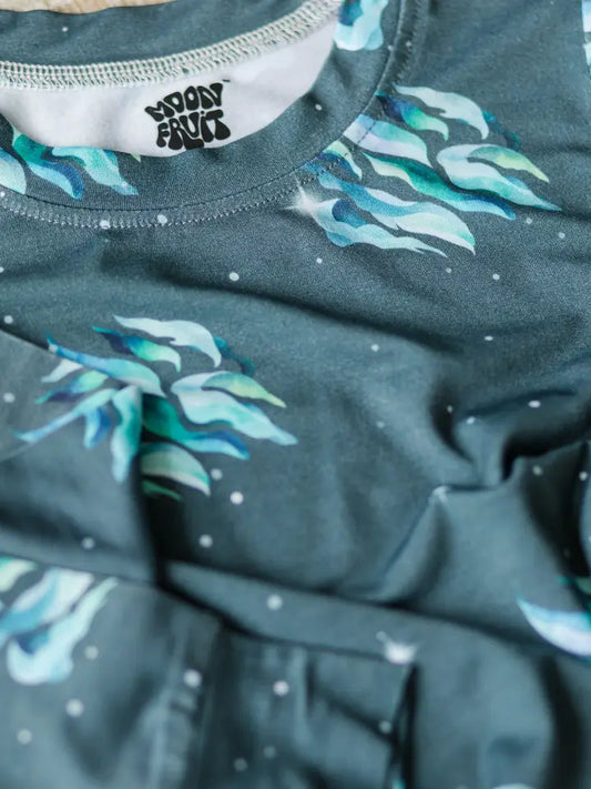 Northern Lights Sleeper