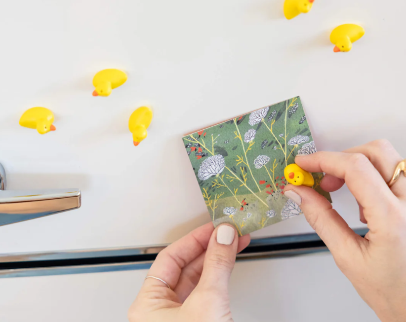 Rubber Duck Magnets