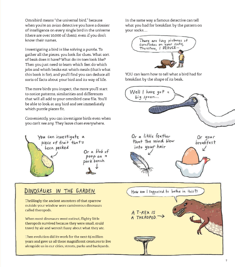Omnibird