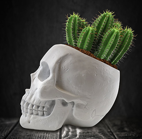 Skull Planter
