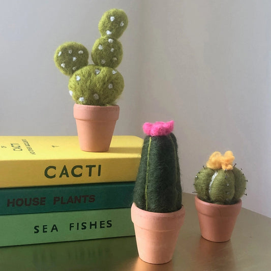 Cacti Needle Felting Kit