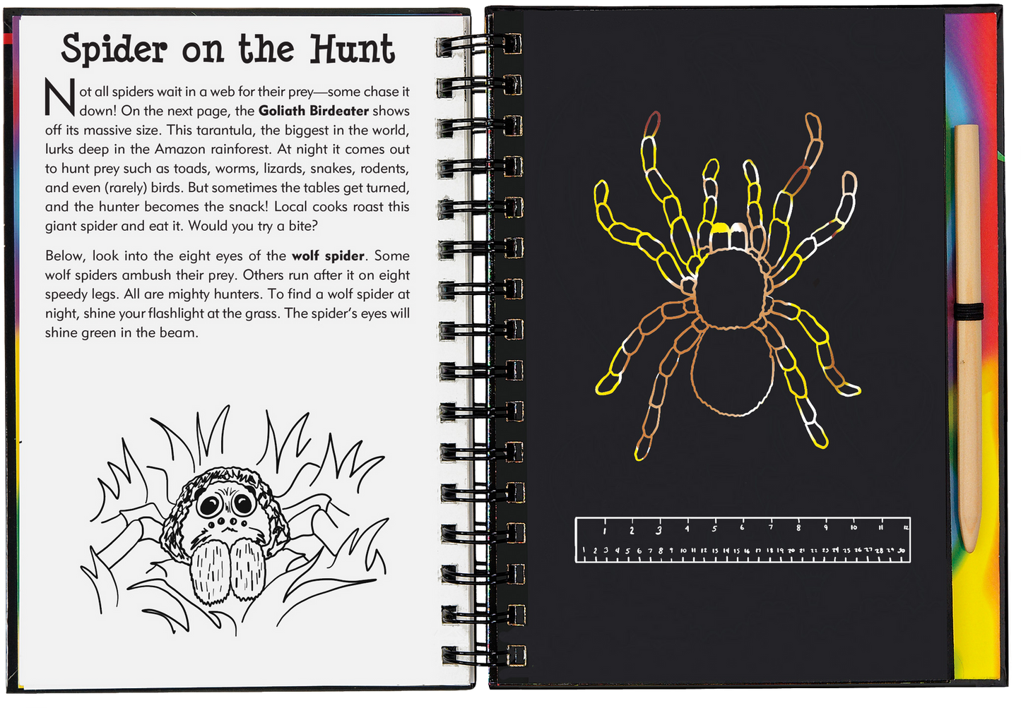 This is a Trace-Along Scratch and Sketch! White outlines on black scratch-off pages create a fun way for younger children (5 and up) to trace each illustration, revealing patterns, swirls, and holographic colors.