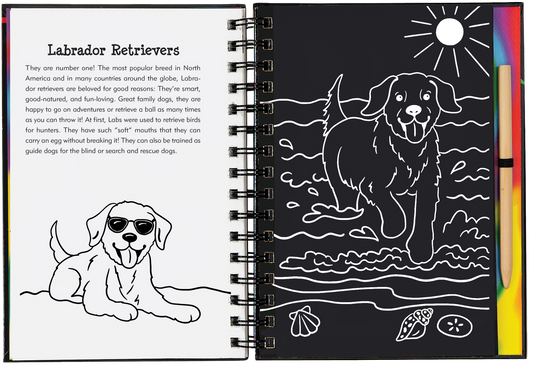 This is a Trace-Along Scratch and Sketch! Use the wooden stylus included to trace the white outlines on the black-coated pages and reveal the glittery foil and rainbow-swirl colors beneath!