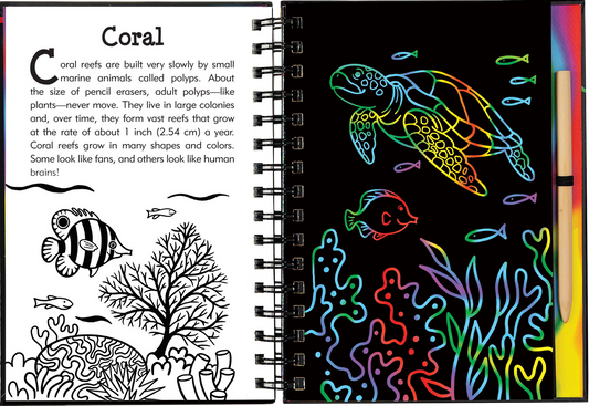 Learn amazing facts and get creative as you discover and draw 20 fascinating creatures of the deep blue sea!