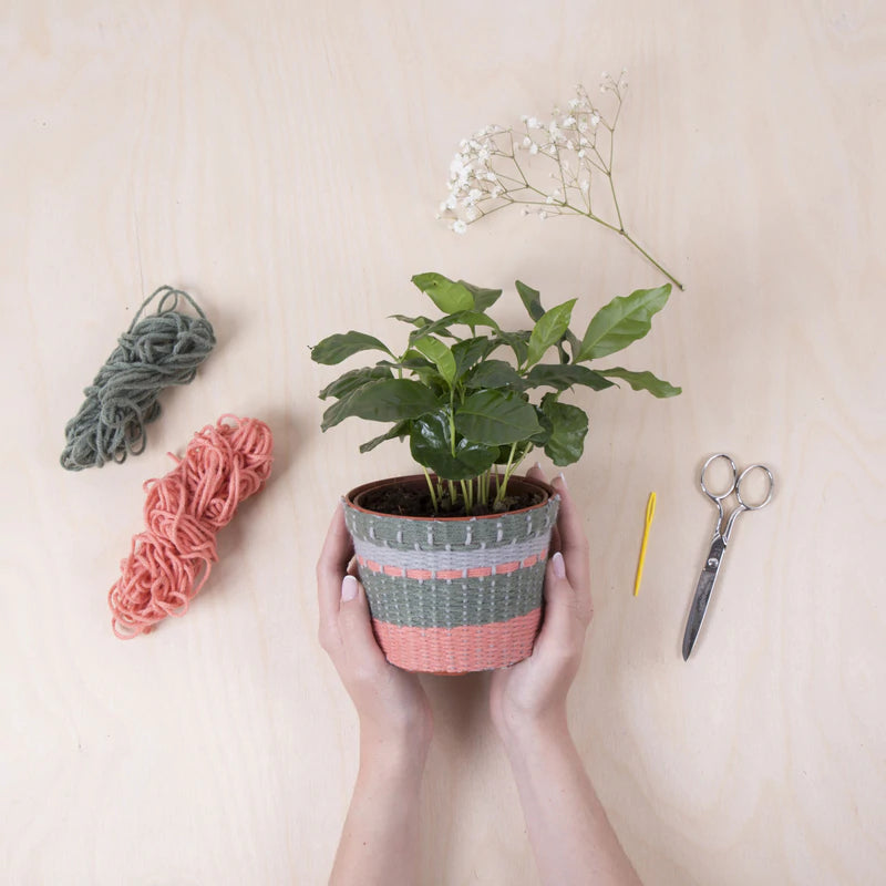 Cover your old plant pots with this knitting kit! Perfect for anyone who loves to knit or to give as a gift Kit comes with everything you need to knit your own planter! This crafters box contains a pot, three different colors of chunky yarn, needle, and templates