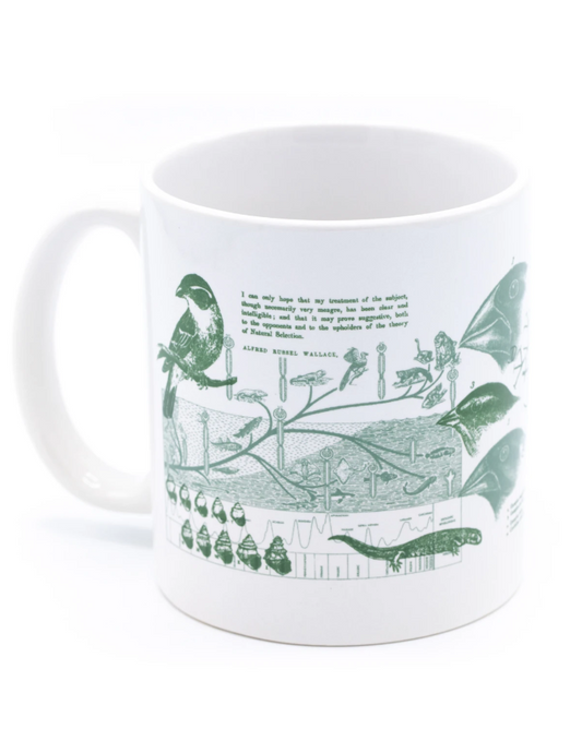 Evolution 20oz mega mug cognitive surplus tea coffee evolutionary origin of species charles darwin green educational facts learning unique tea science mugs kitchen gift coffee biology