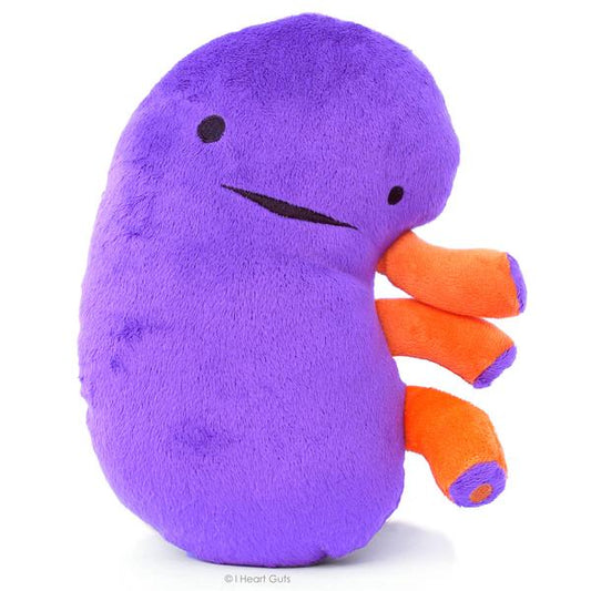 kidney plush i heart guts gigantic soft ages 3+ hangtag facts blood waste recycle organs doctor nurse doctors nurses medical student medicine organs anatomy gift happiness nursing unique spark joy