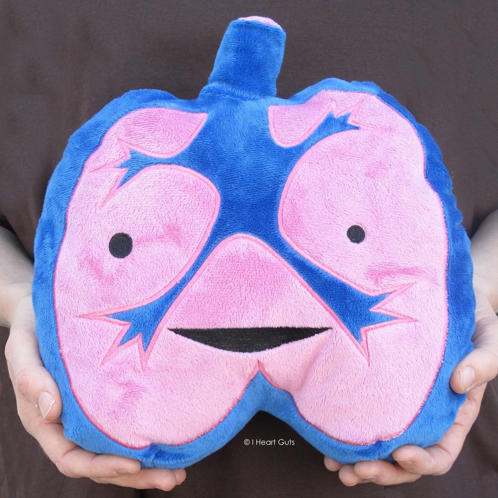 lungs plush i heart guts ages 3+ adorable soft giant lung cuddling cuddly breathe oxygen carbon dioxide inhale windbags facts smile happiness unique spark joy plush nurse nurses nursing doctor doctors medical students medicine organ organs happiness anatomy gift