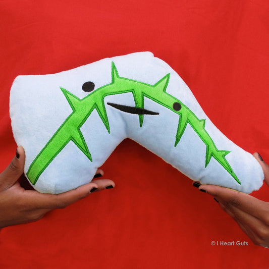 pancreas plush i heart guts ages 3+ huggable super soft educational hangtag art trivia silliness information sugar regulator digestive enzymes insulin glucose sugar unique nursing nurse nurses doctor doctors medical students medicine organ organs happiness anatomy gift