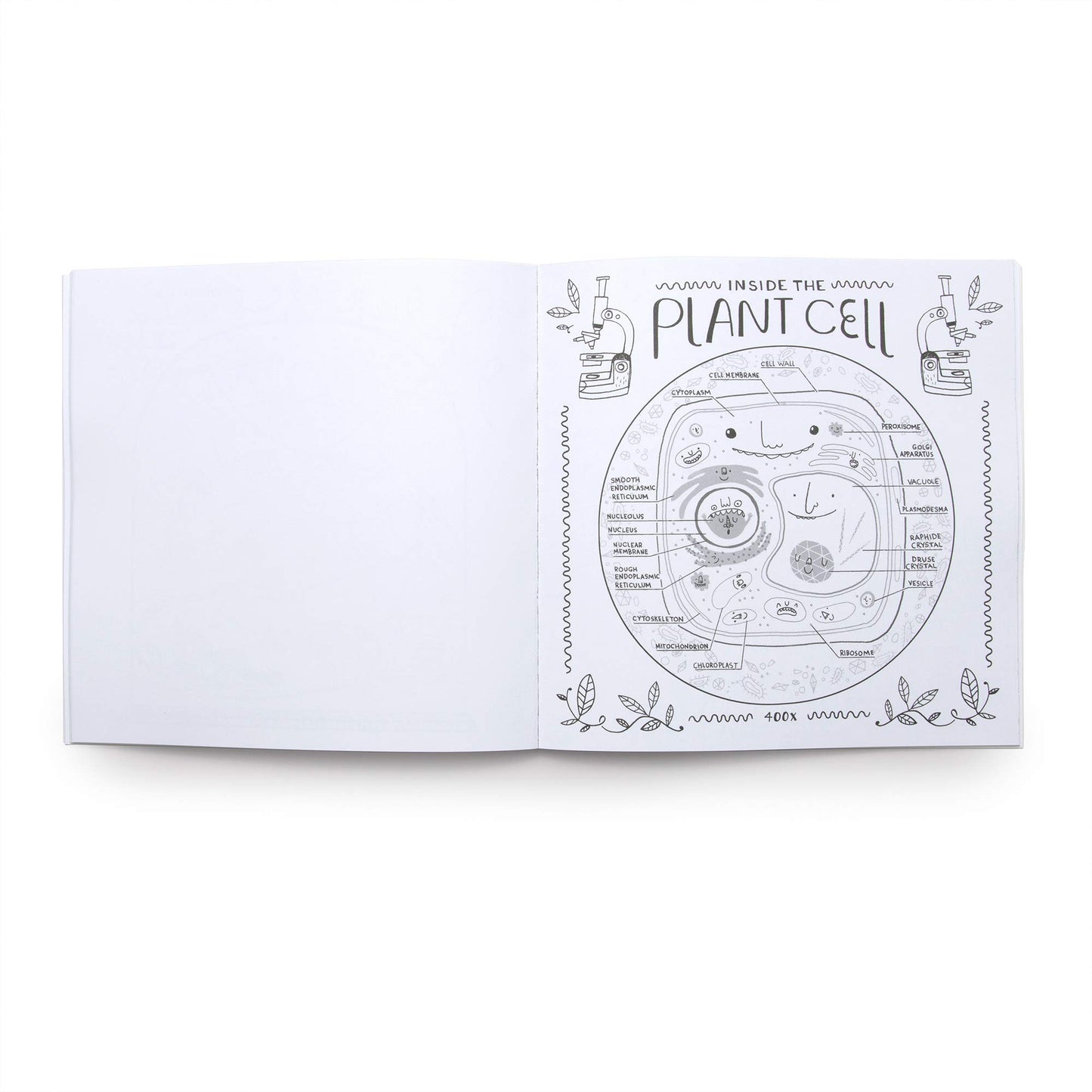 the wondrous workings of science and nature coloring book rachel ignotofsky elegant absorbing coloring book intricate line drawings illustrations science nature life brilliant gorgeous illuminating intricate informative artwork facts ecosystems reefs rainforests ponds gardens cell lab tools nature charming educational guide random house of canada penguin random house