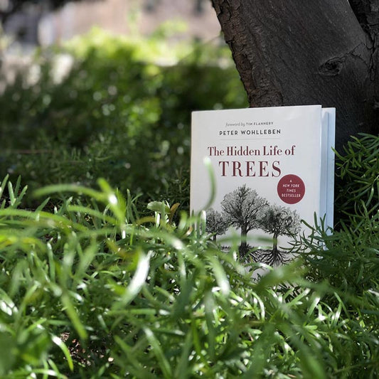 the hidden life of trees what they feel how they communicate discoveries from a secret world bestseller peter wohlleben social forester social network groundbreaking scientific discoveries nutrients dangers love woods forests processes life death regeneration greystone books raincoast books botany