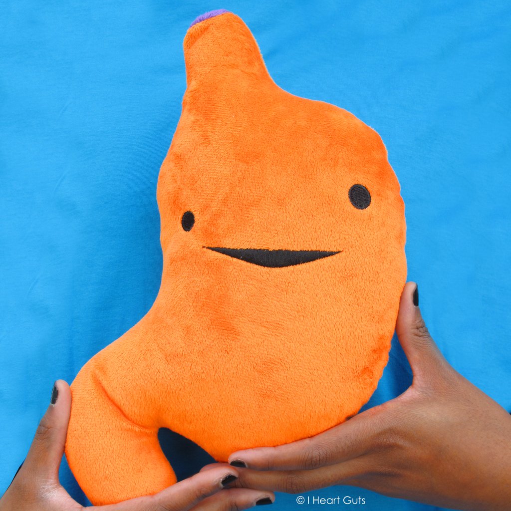 stomach plush i heart guts ages 3+ craving orange stuffed stomach acidic digest organ nutrients educational hangtag unique spark joy nursing nurses nurse doctor doctors medicine medical students healthcare gift happiness anatomy