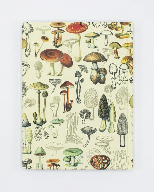Take this fungus-inspired notebook into the woods and use it to record your findings from the forest floor. Plan a menu highlighting an assortment of wild mushrooms, sketch fairy rings, or take botany notes in its pages.
