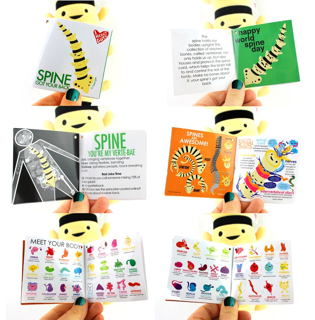 Bring a smile to that bad back with this soft, fluffy and stretchable spine plush. Soft and fluffy 21.5” x 6.5” x 3 backbone pillow bends in crazy ways your own spine cannot