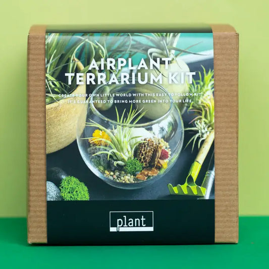 Airplant Terrarium: Globe