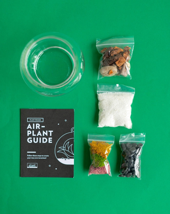 Airplant Terrarium: Globe