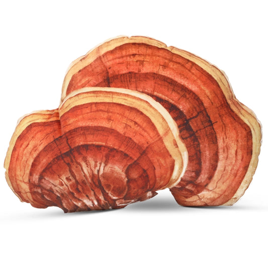 Reishi Mushroom Pillow
