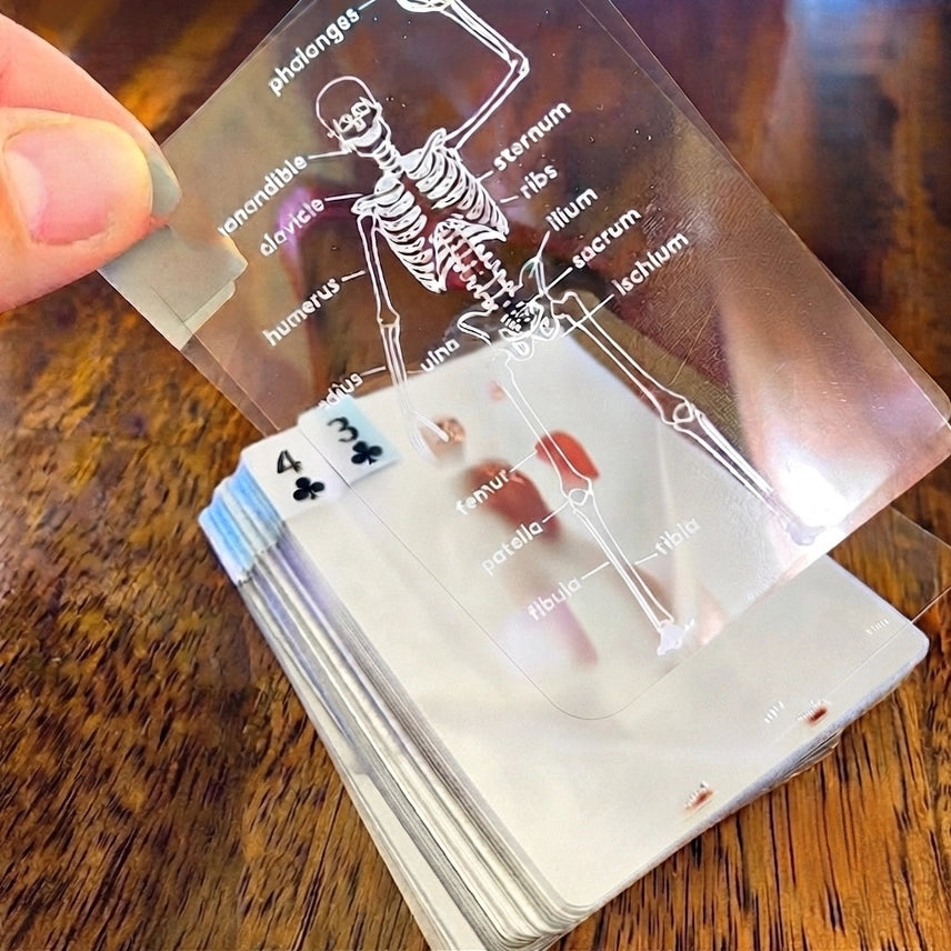 Human Anatomy Playing Cards