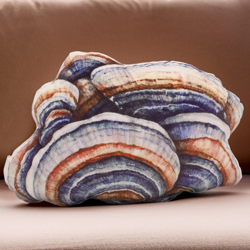 Turkey Tail Mushroom Pillow