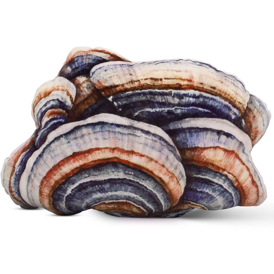 Turkey Tail Mushroom Pillow