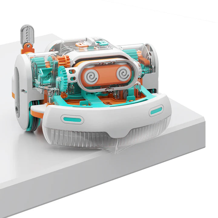 Dusty Robot Vacuum Cleaner