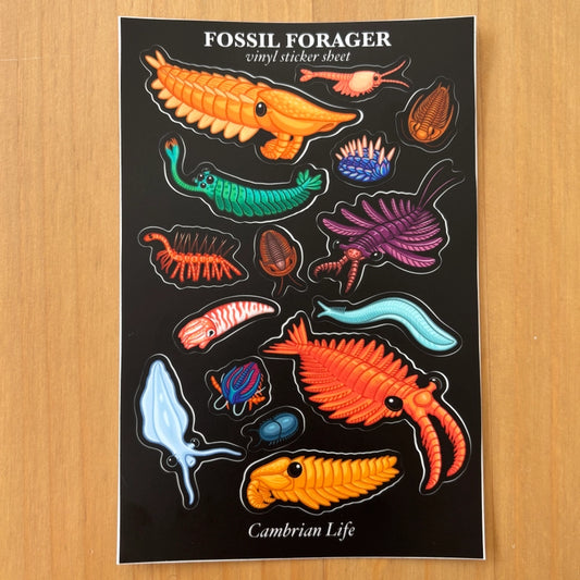 Cambrian Life Sticker Sheet