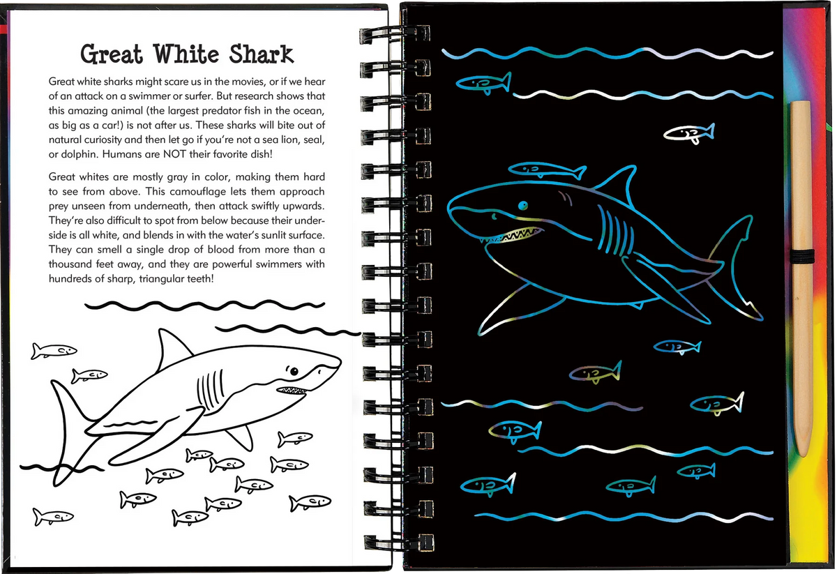 Shark Scratch Scratch & Sketch Sharks – TELUS Spark Store