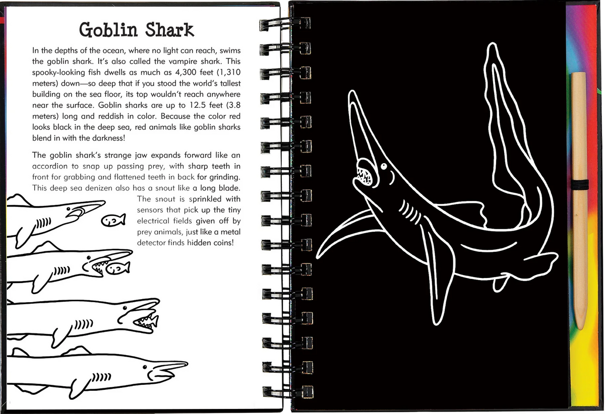 Shark Scratch Scratch & Sketch Sharks – TELUS Spark Store