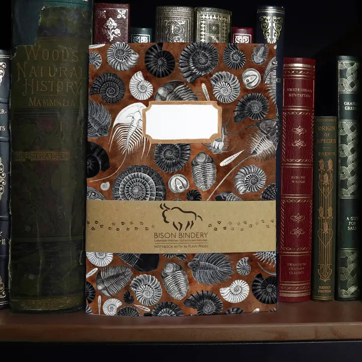 Ammonoidea Fossil A5 Notebook