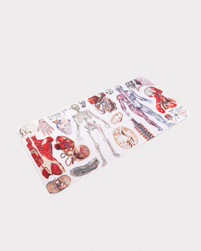 Anatomy Large Desk Pad